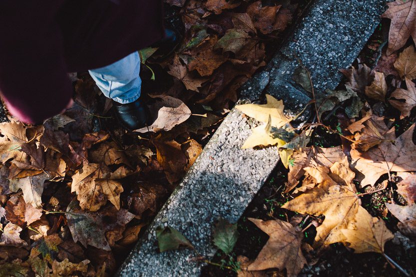 autunno| a year in a life